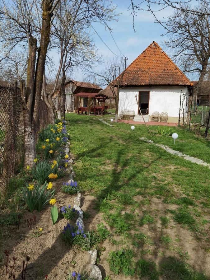 Sovarlak Sarateni Luaran gambar